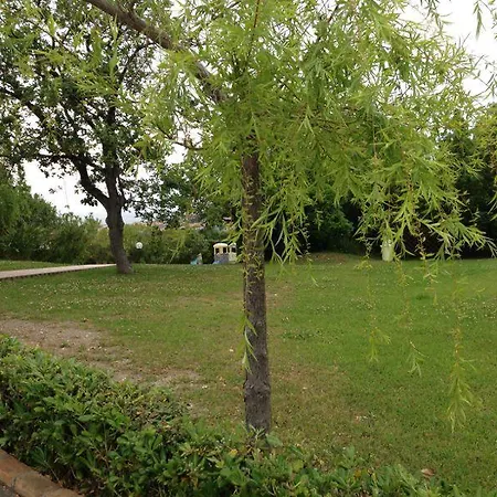In Panorama *